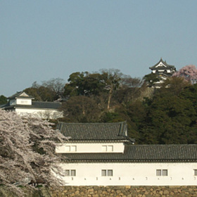 写真6：国宝彦根城
