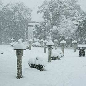 1月：雪の日の境内